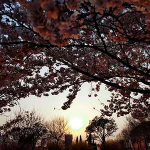 雪白丰满的肉体BBW
